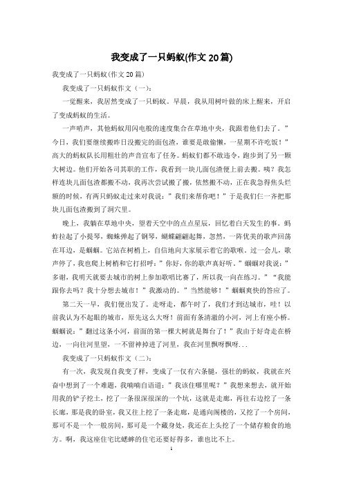 我变成了一只蚂蚁(作文20篇)