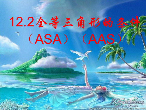 人教版八年级数学上册 12.2 全等三角形的判定ASA-AAS 课件(共16张PPT)