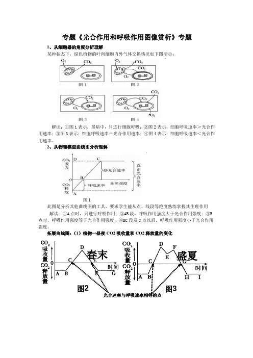 (完整版)光合作用和呼吸作用图像赏析