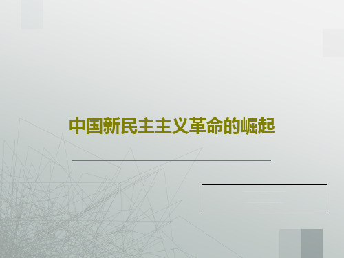 中国新民主主义革命的崛起25页PPT