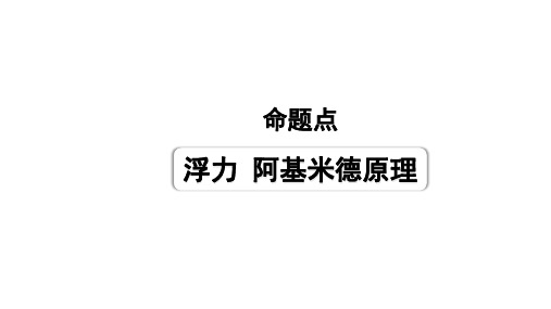 2024年长沙中考物理二轮专题复习+中考命题点+浮力++阿基米德原理+(课件)