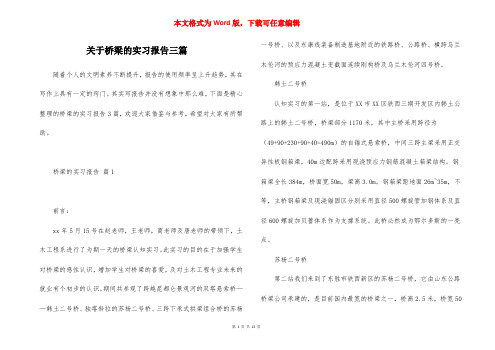 关于桥梁的实习报告三篇