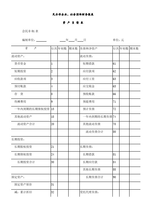 社会团体财务报表