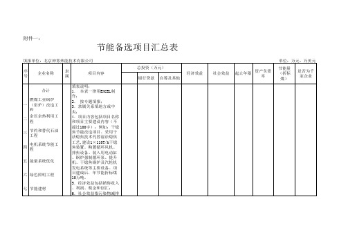 节能备选项目汇总表