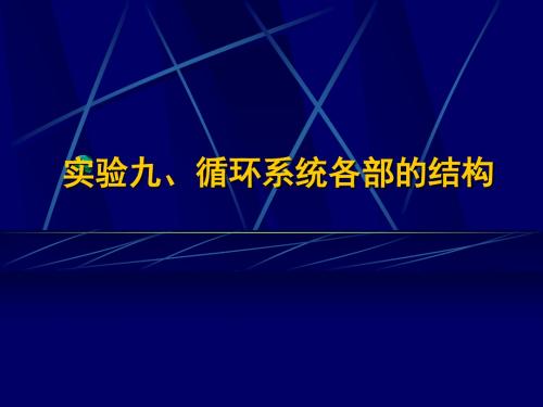 实验九循环系统各部的结构