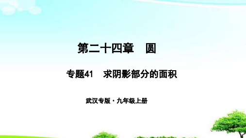 【推荐】武汉专版2018年秋九年级数学上册第二十四章圆专题41求阴影部分的面积课件新版新人教版.ppt