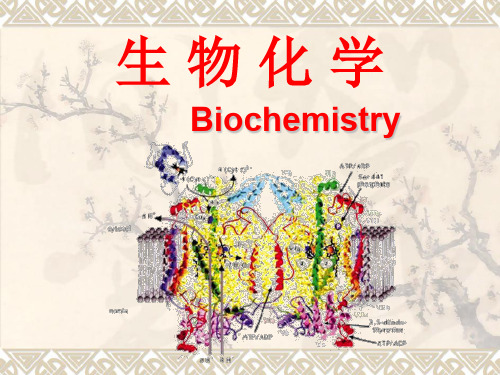 北大基础医学生物化学课件 绪论