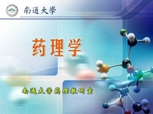 第25章 抗高血压药物