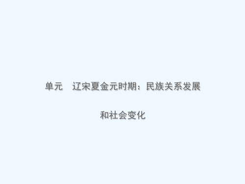 山东省济南市2019年中考历史总复习 七下 第五单元 辽宋夏金元时期：民族关系发展和社会变化课件 新人教版