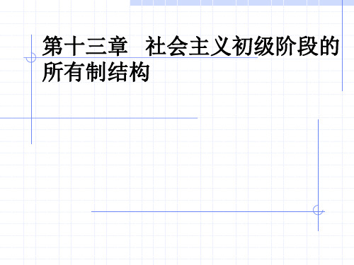 第十三章   社会主义初级阶段的所有制内容