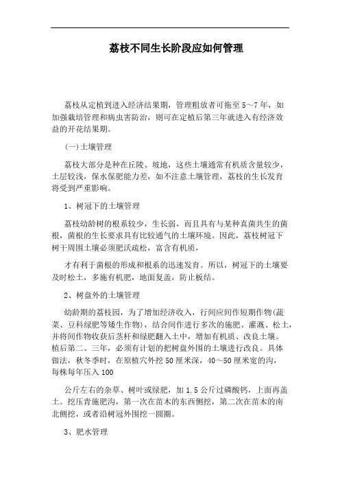 荔枝不同生长阶段应如何管理