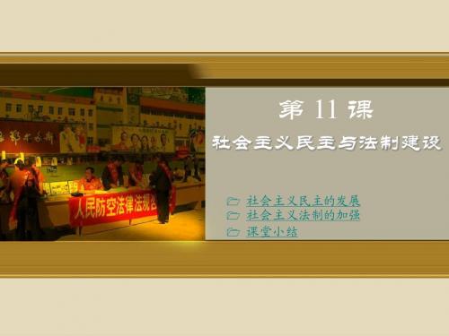 第11课 社会主义民主与法制建设