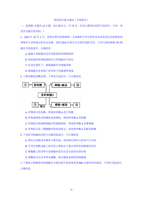 湖北省荆州市2019届高三上学期质量检查(一)理科综合生物试卷 Word版含答案