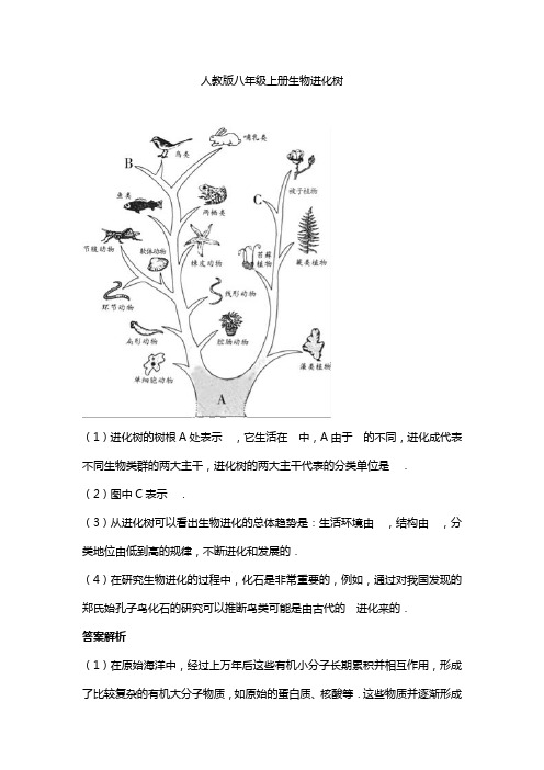 人教版八年级上册生物进化树