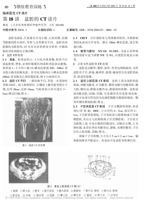 临床医生CT读片第18讲盆腔的CT读片