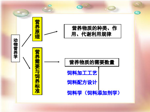 2011-13 营养需要与饲养标准