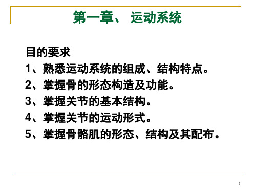 《人体解剖学》躯干骨解剖-文档资料