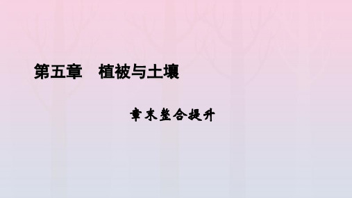 新教材2023年高中地理 章末整合提升5 第5章 植被与土壤课件 新人教版必修第一册