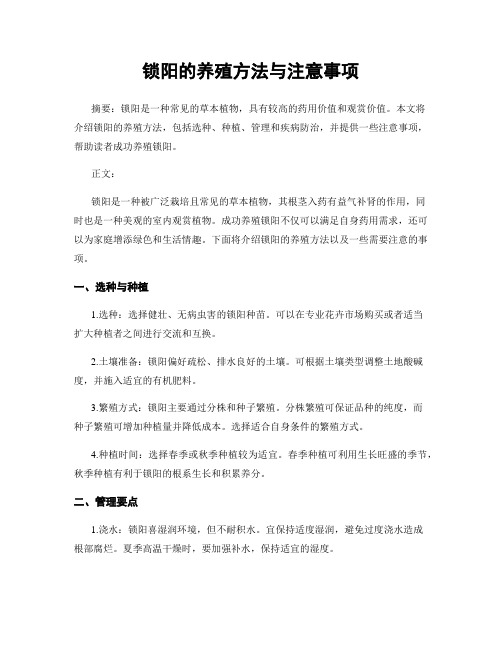 锁阳的养殖方法与注意事项