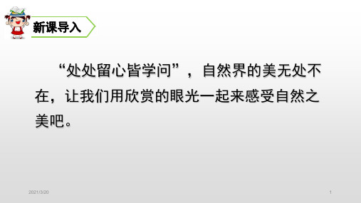 人教部编版四年级上册语文第三单元 古诗三首课件