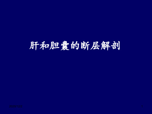 肝和胆囊的断层解剖腹部断层解剖学人体断层解剖学11