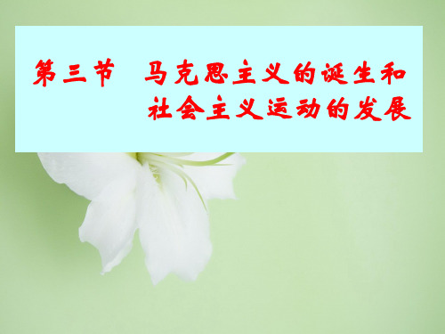 马克思主义的诞生和社会主义运动PPT教学课件
