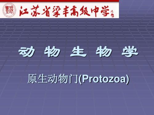 江苏梁丰中学生物奥赛辅导课件动物学部分原生动物(共27张)