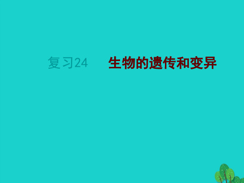 2020年中考生物复习24《生物的遗传和变异》