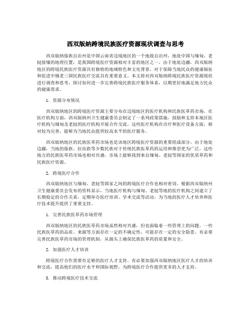 西双版纳跨境民族医疗资源现状调查与思考