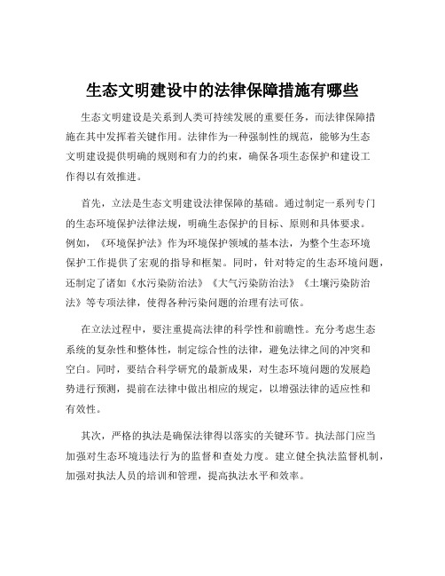 生态文明建设中的法律保障措施有哪些