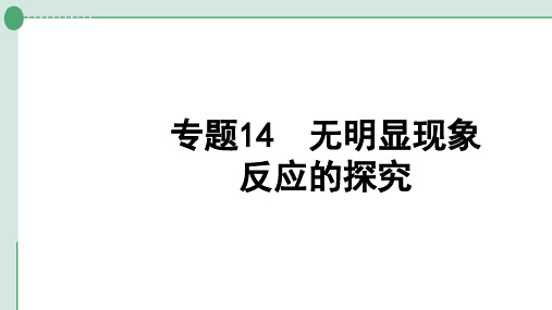 中考化学系统复习专题14无明显现象反应的探究