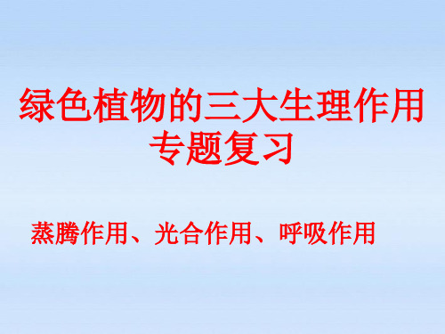 人教版初中生物七年级上册：绿色植物的三大生理作用专题复习 课件(共19张PPT)