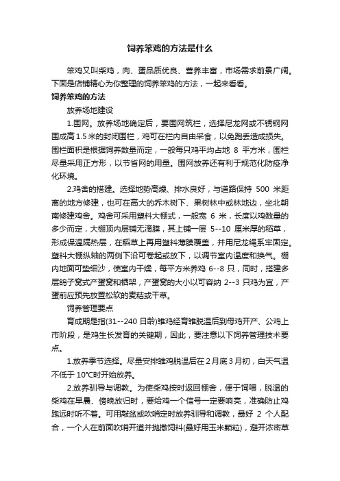 饲养笨鸡的方法是什么