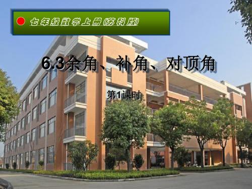 苏科版数学七年级上册课件6.3《余角、补角、对顶角(1)》课件