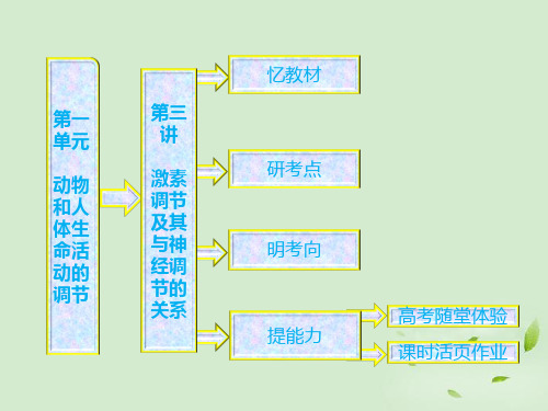 高中生物一轮复习 第一单元 第三讲 激素调节及其与神经调节的关系课件 新人教版必修3