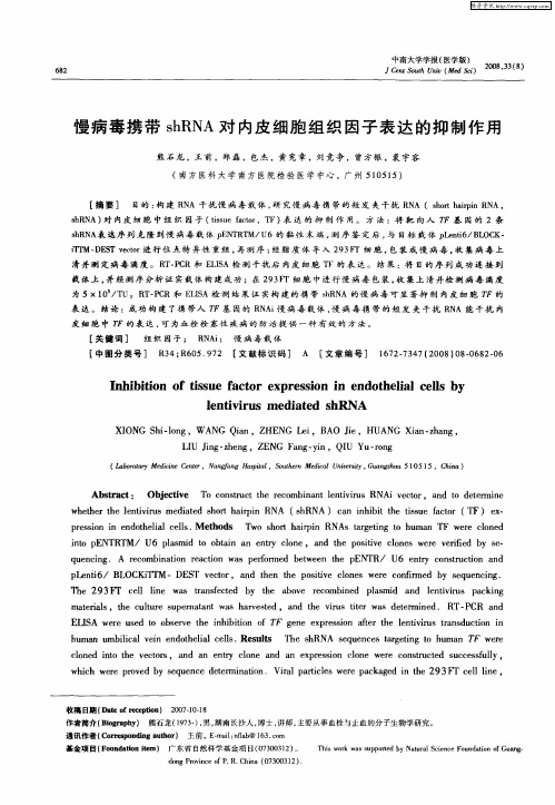 慢病毒携带shRNA对内皮细胞组织因子表达的抑制作用