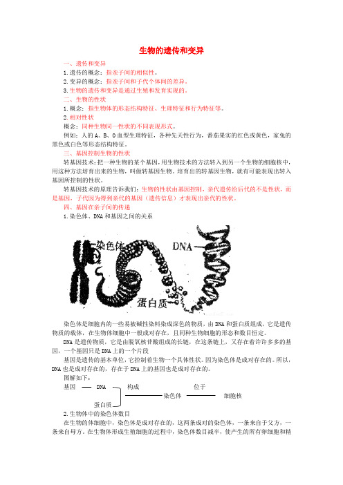 【人教版】2020届中考生物复生物的遗传和变异知识点总结