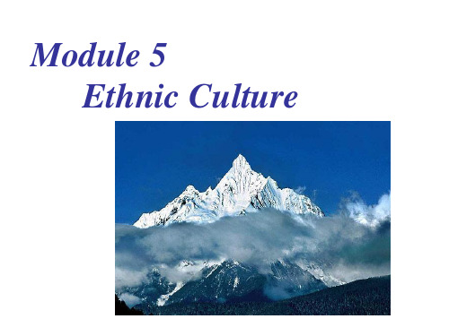 外研版选修7Module5EthnicCulture--grammar1课件