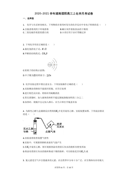 2020-2021学年湖南邵阳高三上化学月考试卷 (1)