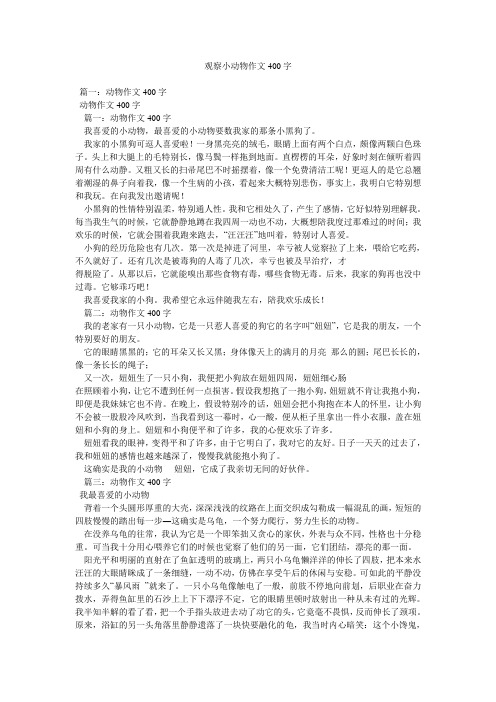 观察小动物作文400字精选