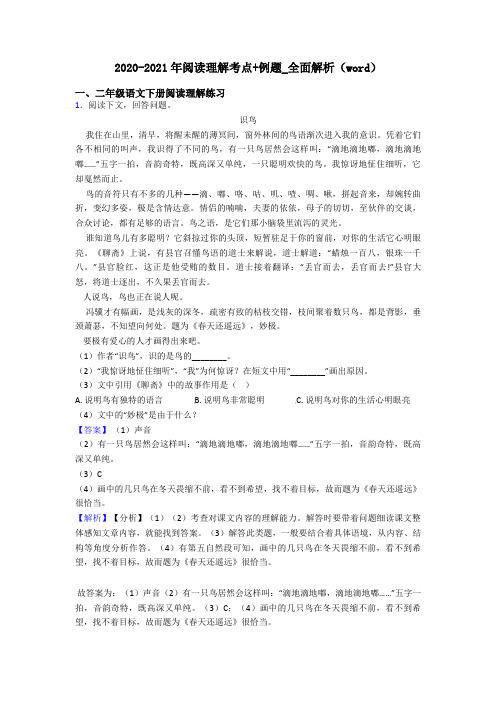 二年级2020-2021年阅读理解考点+例题_全面解析(word)