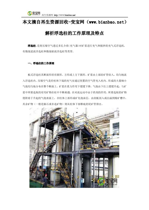 解析浮选柱的工作原理及特点