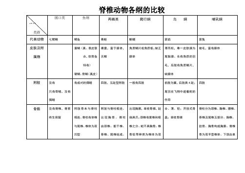 脊椎动物各纲的比较