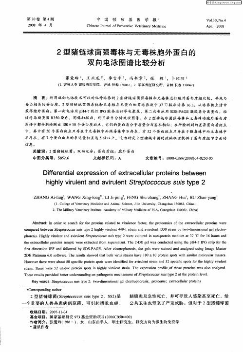 2型猪链球菌强毒株与无毒株胞外蛋白的双向电泳图谱比较分析