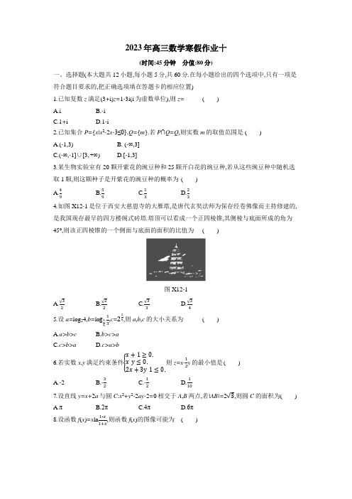 2023年高三数学寒假作业10(Word含答案解析)