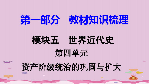 2018湖南中考历史复习：世界近代史ppt(8份) 岳麓版7优秀课件