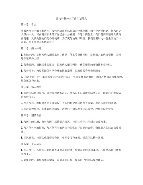 肾内科新护士工作计划范文