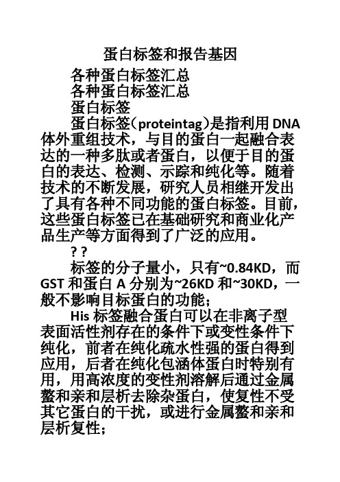 蛋白标签和报告基因