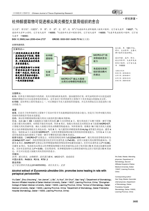 杜仲醇提取物可促进根尖周炎模型大鼠骨组织的愈合