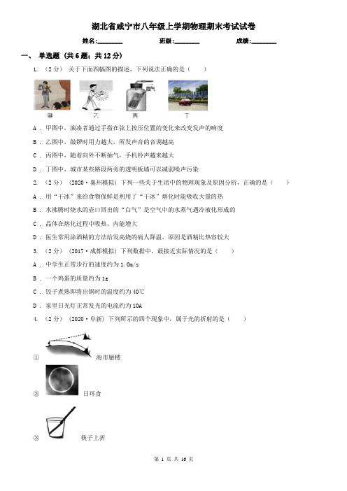 湖北省咸宁市八年级上学期物理期末考试试卷